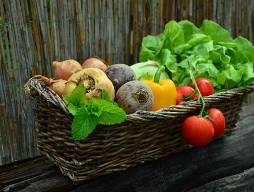 Vegetable harvest in basket